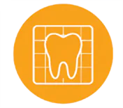 3D Model of Your Teeth